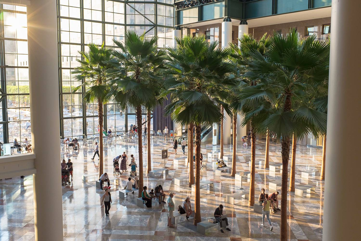 Photo de l’intérieur du Winter Garden Atrium avec des palmiers.