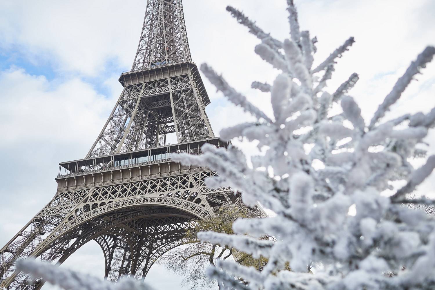 Photo de la tour Eiffel derrière une branche d’arbre couverte de neige au premier plan.