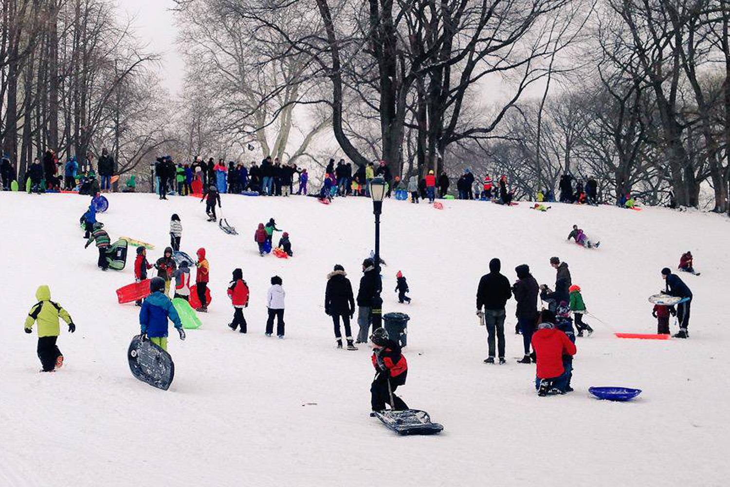 Image d’enfants faisant de la luge sur une colline recouverte de neige (Crédit Photo : Utilisatrice Twitter Rachel Berkowitz @rachel)