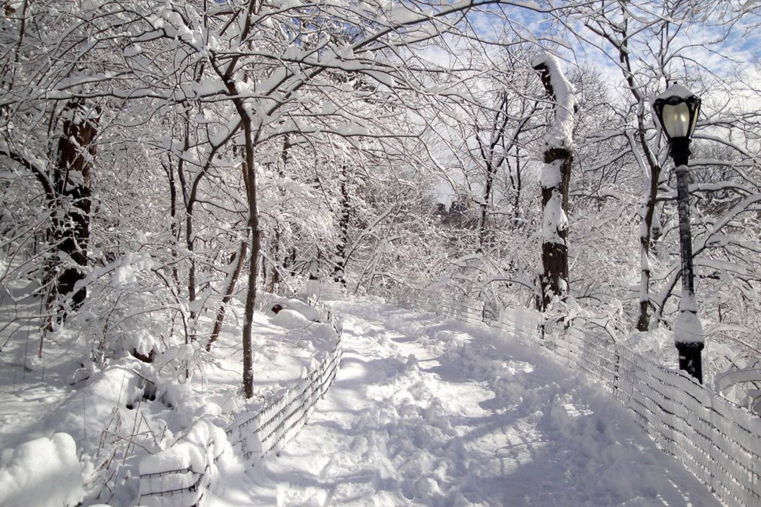 Image d’un sentier enneigé dans Central Park
