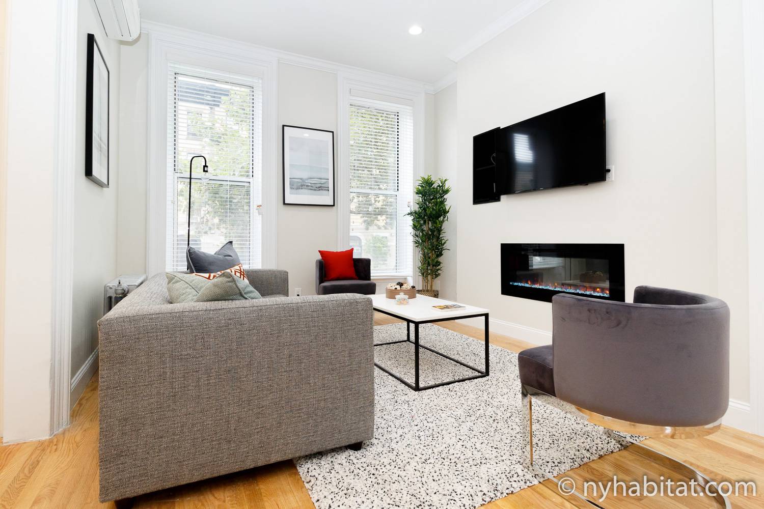 Image du salon de la location de vacances T3 avec cheminée à gaz à Brooklyn (NY-17669)