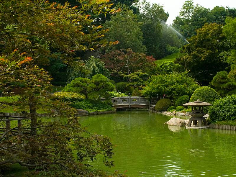 Foto di Botanico di Brooklyn a New York