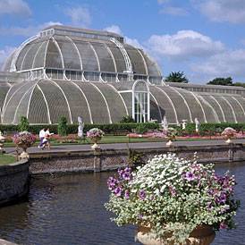 Kew Gardens: Palmhouse