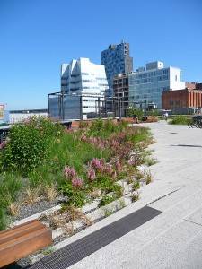 Lo High Line Park a New York