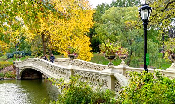 Immagine del Bow Bridge a Central Park