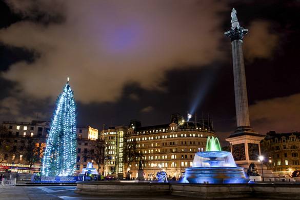Fotografia di Trafalgar Square con l’albero di Natale, Londra.