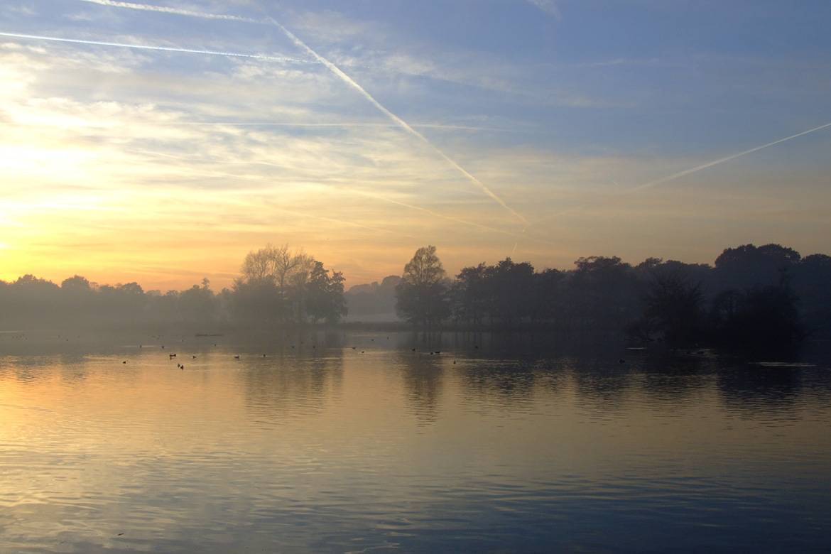 Immagine di Richmond Park