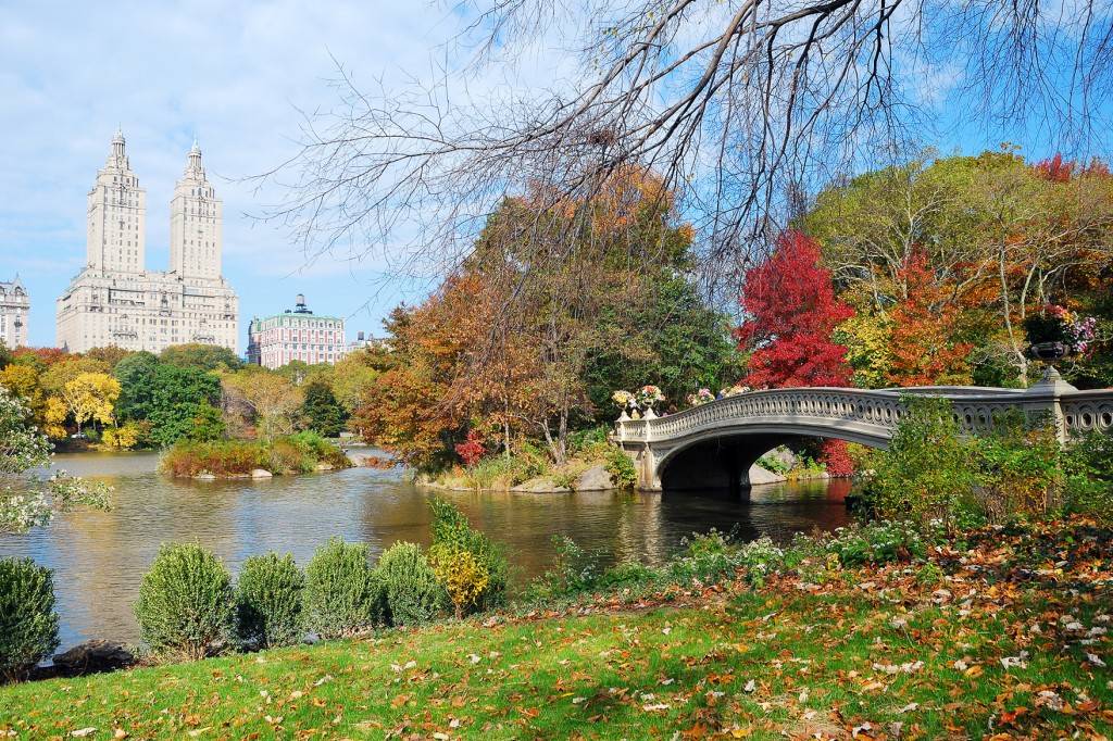 Foto di Central Park