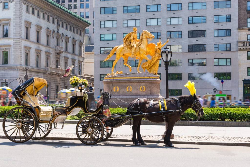 Immagine di carrozza e cavallo