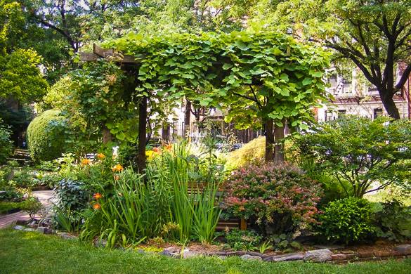 La pergola ricoperta di foglie e circondata dai fiori nel giardino condiviso di Clinton