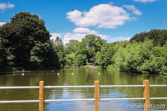 Foto di un lago di Hampstead Heath circondato da alberi