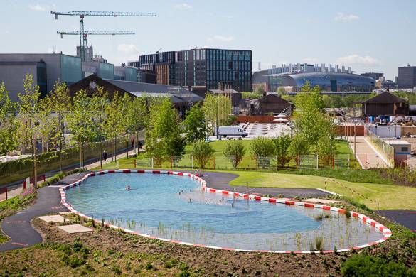 Foto dall’alto del Kings Cross Pond Club con gli alberi che circondano il laghetto