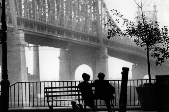 Immagine di persone sedute su panchine, con Queensboro Bridge sullo sfondo