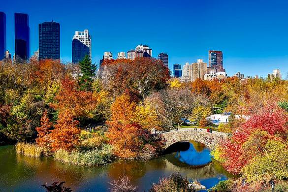 Immagine del lago di Central Park con fogliame d’autunno, un ponte e lo skyline