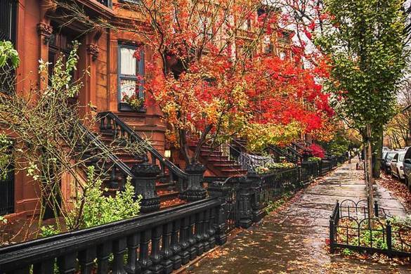 Immagine di una palazzina brownstone che costeggia una strada piena di foglie d’autunno colorate