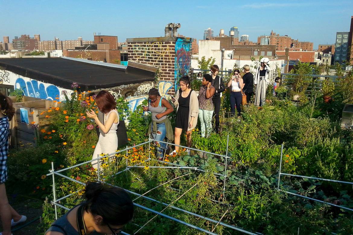 Immagine di persone chef anno un tour tra I Giardini urbani sui tetti