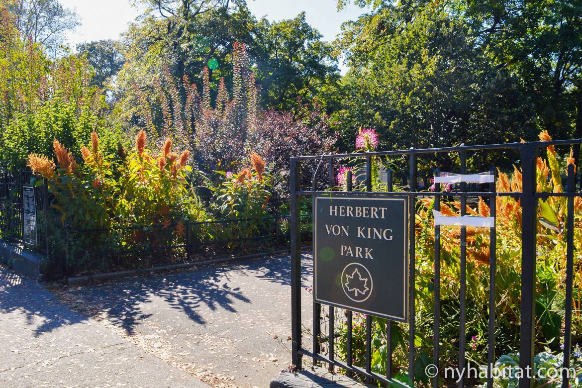 Immagine delle piante all’ingresso del Herbert Von King Park in Bed-Stuy, Brooklyn