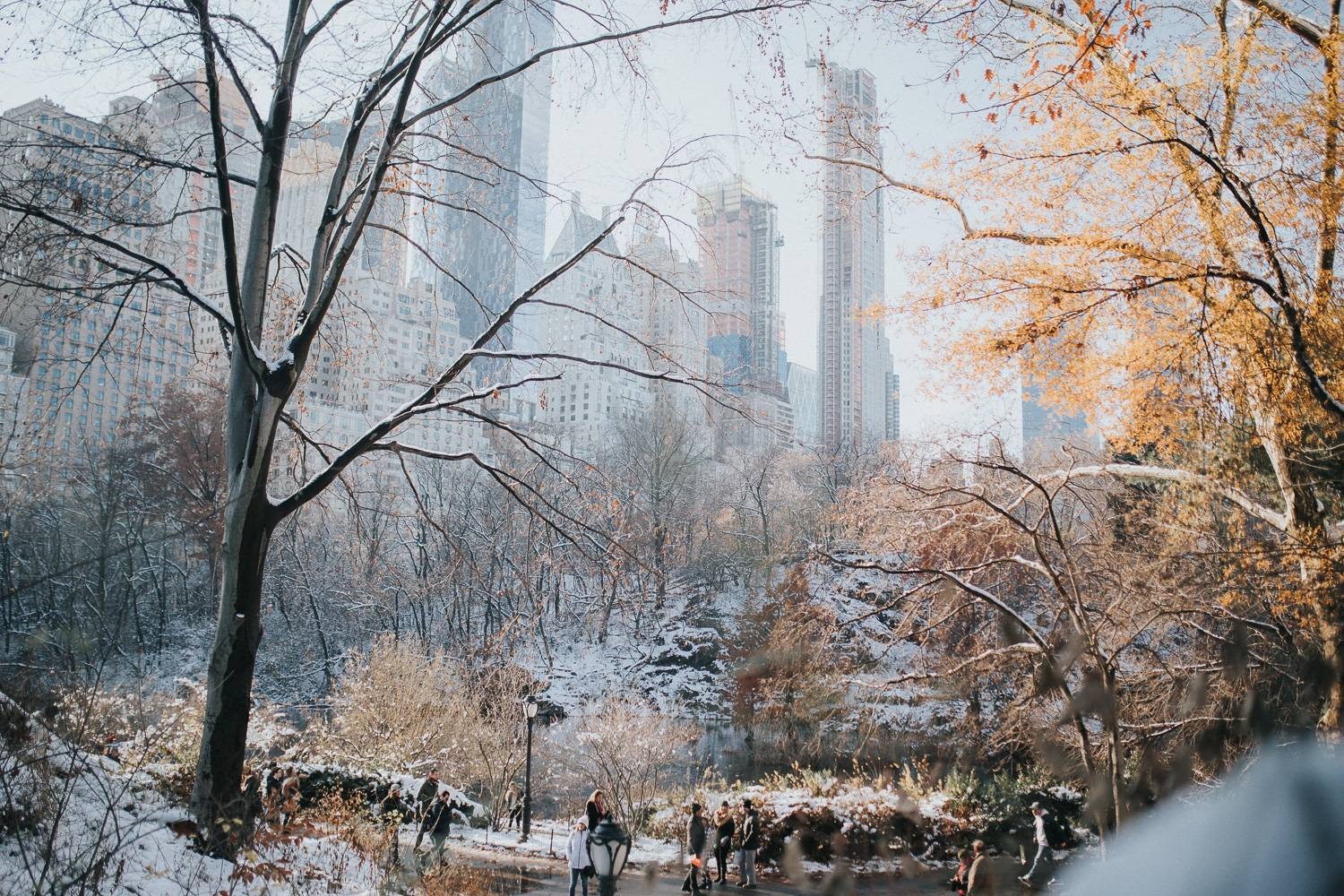 Immagine di Central Park e lo skyline della città dopo una nevicata.