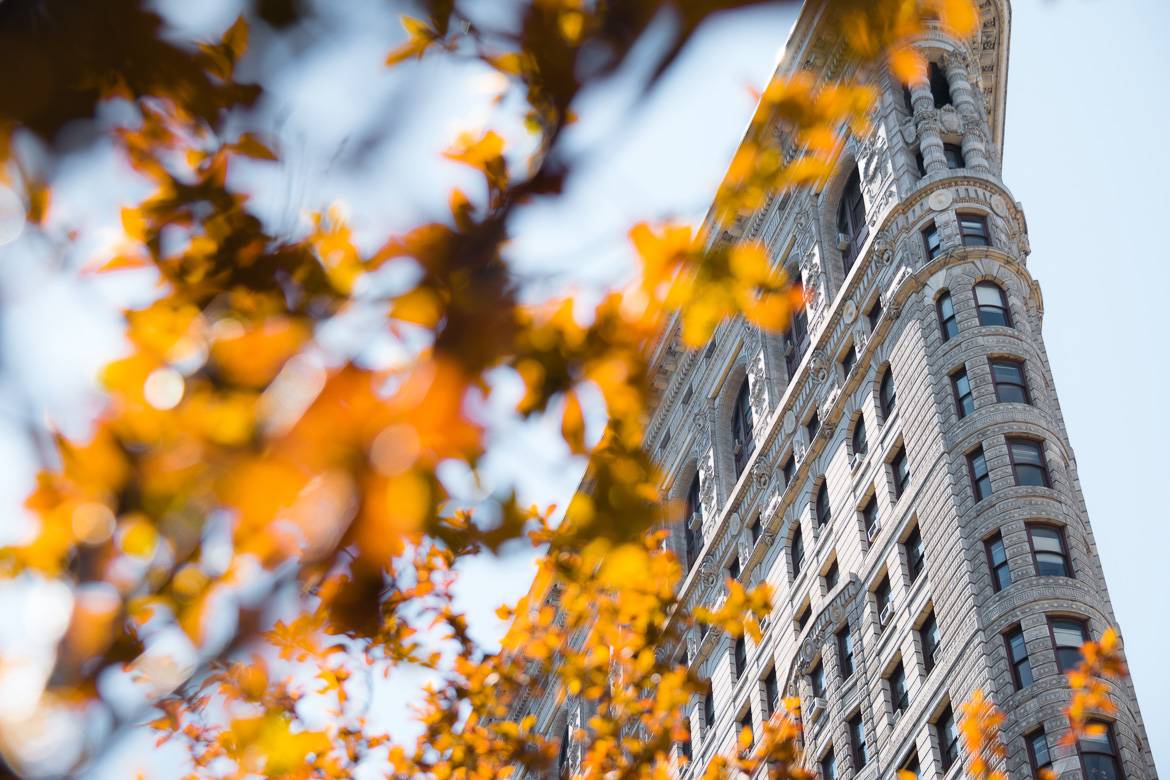 Immagine del Flatiron Building con foglie autunnali.