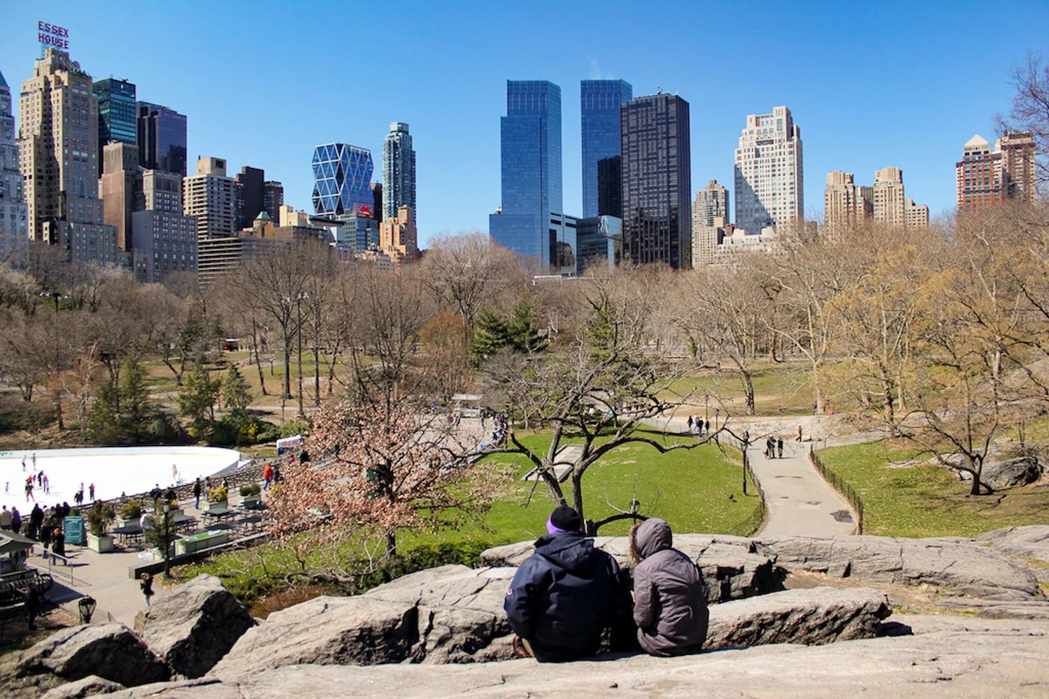 Immagine di vista su sentieri percorribili e pista di pattinaggio a Central Park nel periodo invernale, con coppia in primo piano.