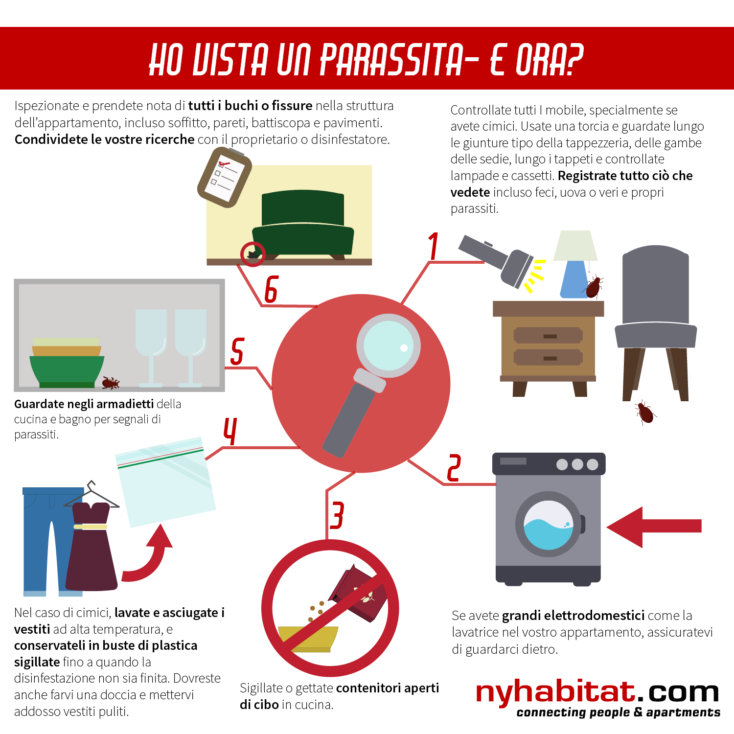 Infografica di New York Habitat che mostra 6 pratici consigli per inquilini che hanno trovato topi, scarafaggi o cimici nel loro appartamento.