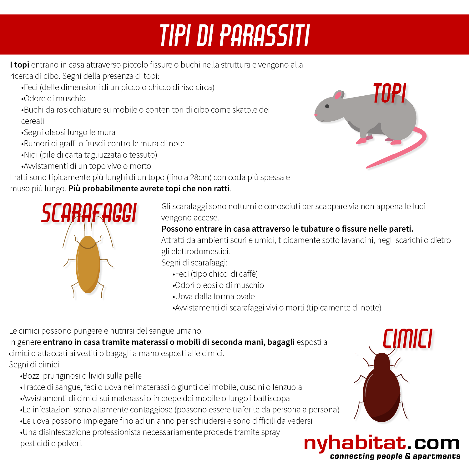 Consigli per mantenere il vostro appartamento a NY libero dai parassiti :  Il Blog di New York Habitat
