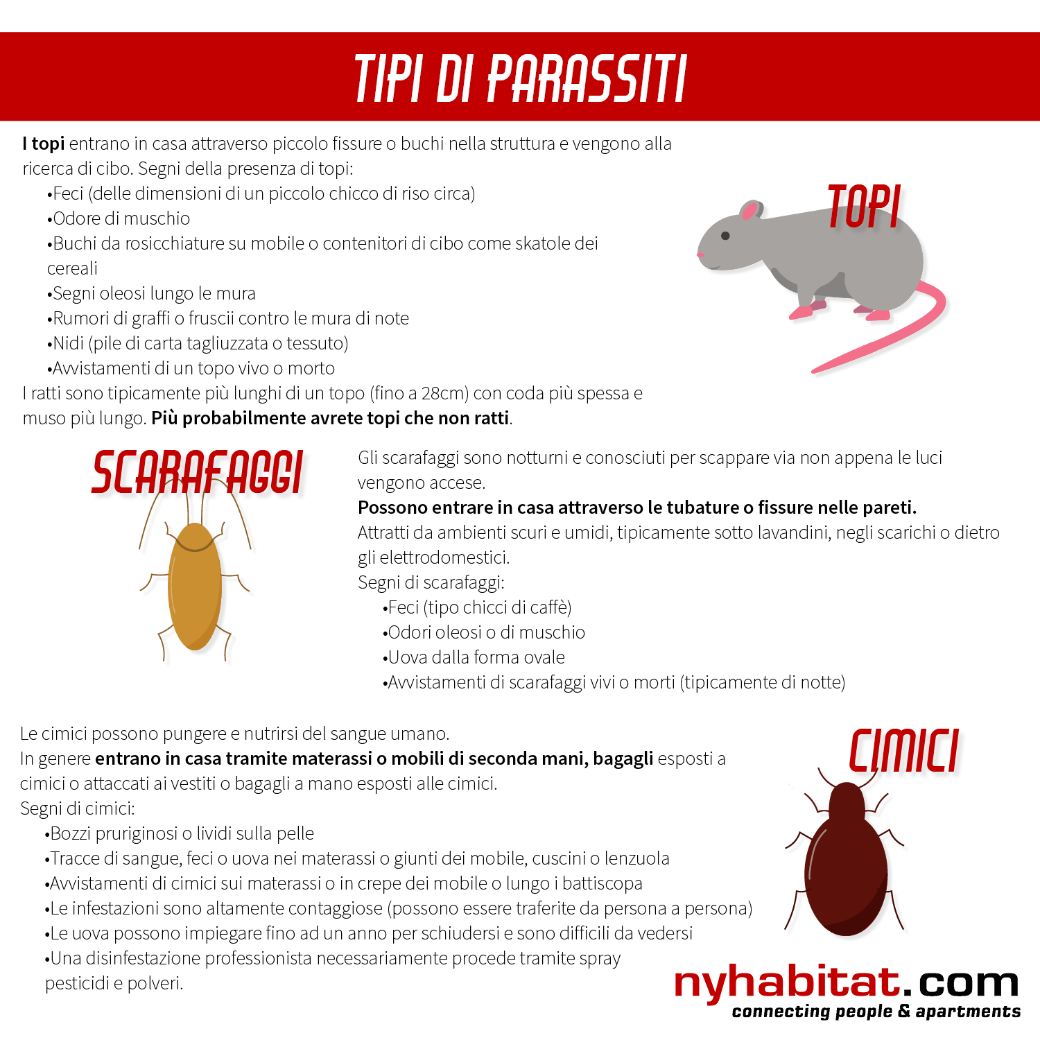 New York Habitat infografica con informazioni per identificare topi, scarafaggi e cimici.
