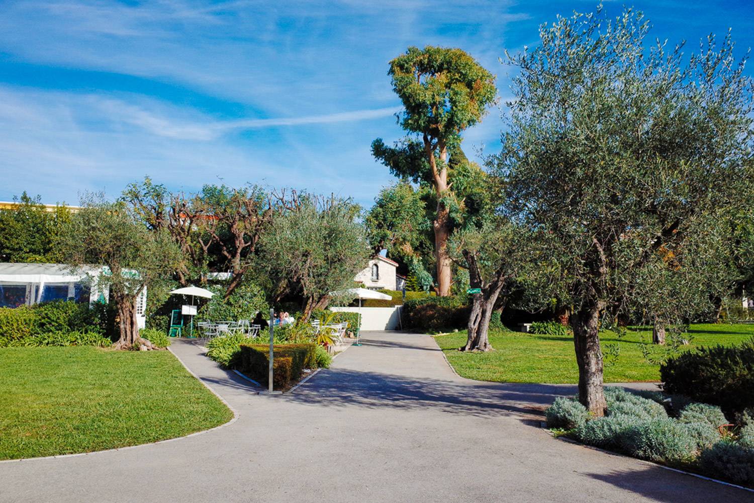Immagine di giardini e sentieri che portano al Museo Nazionale Marc Chagall.