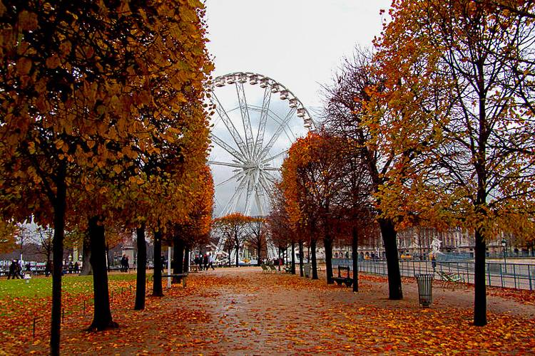 Immagine della ruota panoramica di Parigi, vicino al museo del Louvre, uno dei più iconici al mondo.