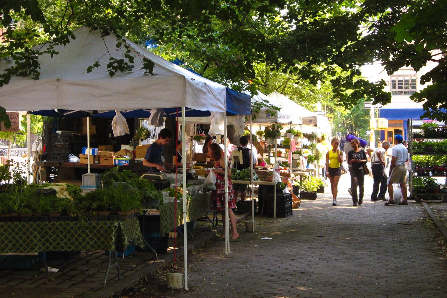Immagine del Greenmarket di Fort Greene Park a Brooklyn con file di stand lungo la strada ombreggiata.