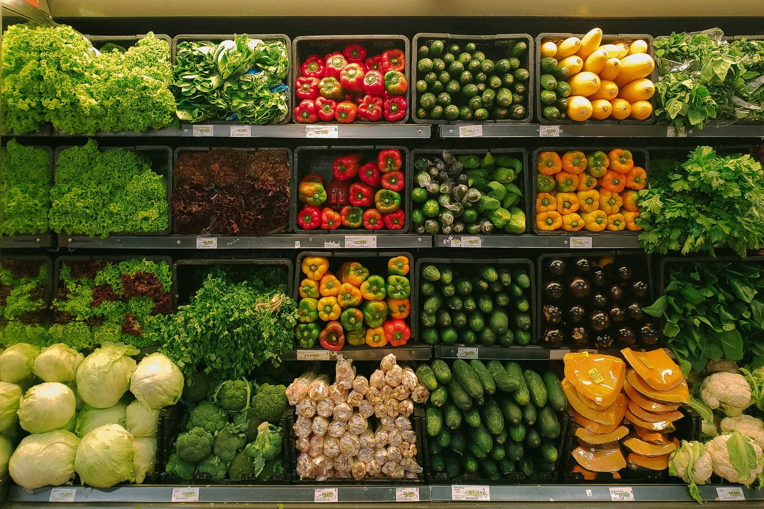 File di diverse verdure allineate in maniera ordinata in un supermercato.