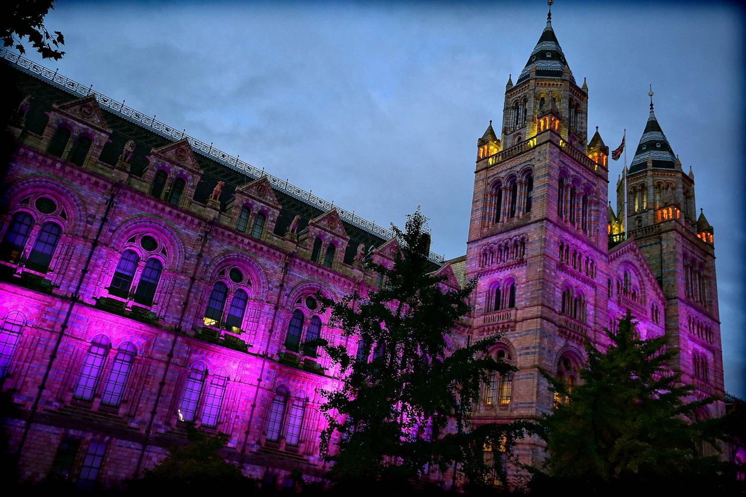 Immagine degli esterni del Natural History Museum di Londra illuminato con luci viola