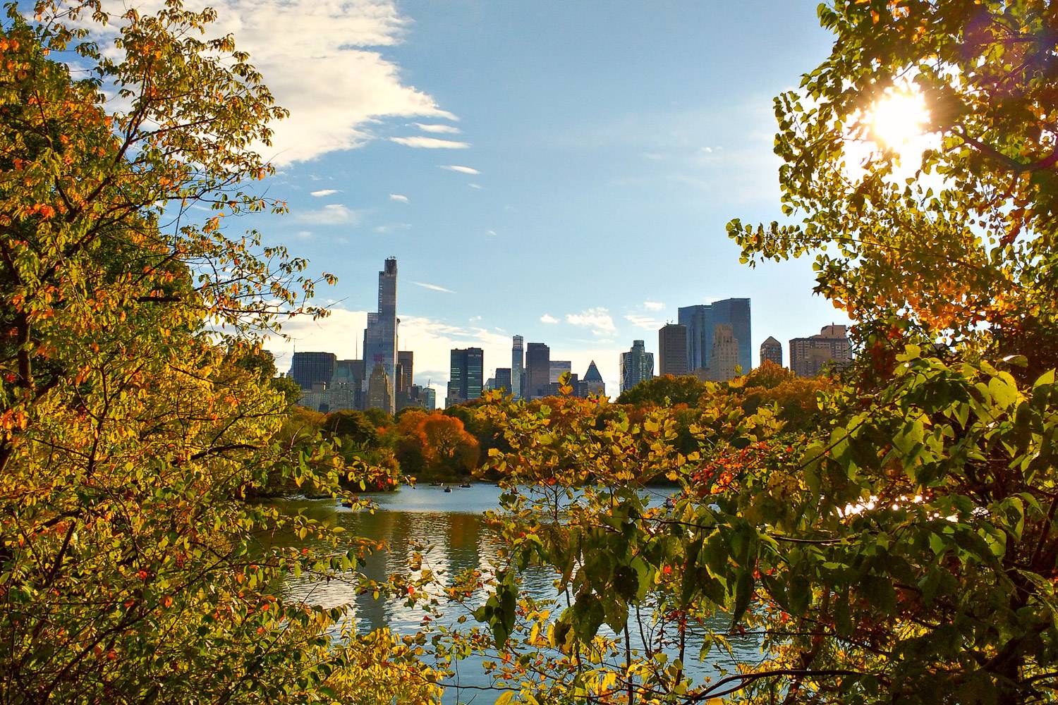 Foto di Central Park con foliage autunnale sugli alberi e stagno con panorama di New York sullo sfondo