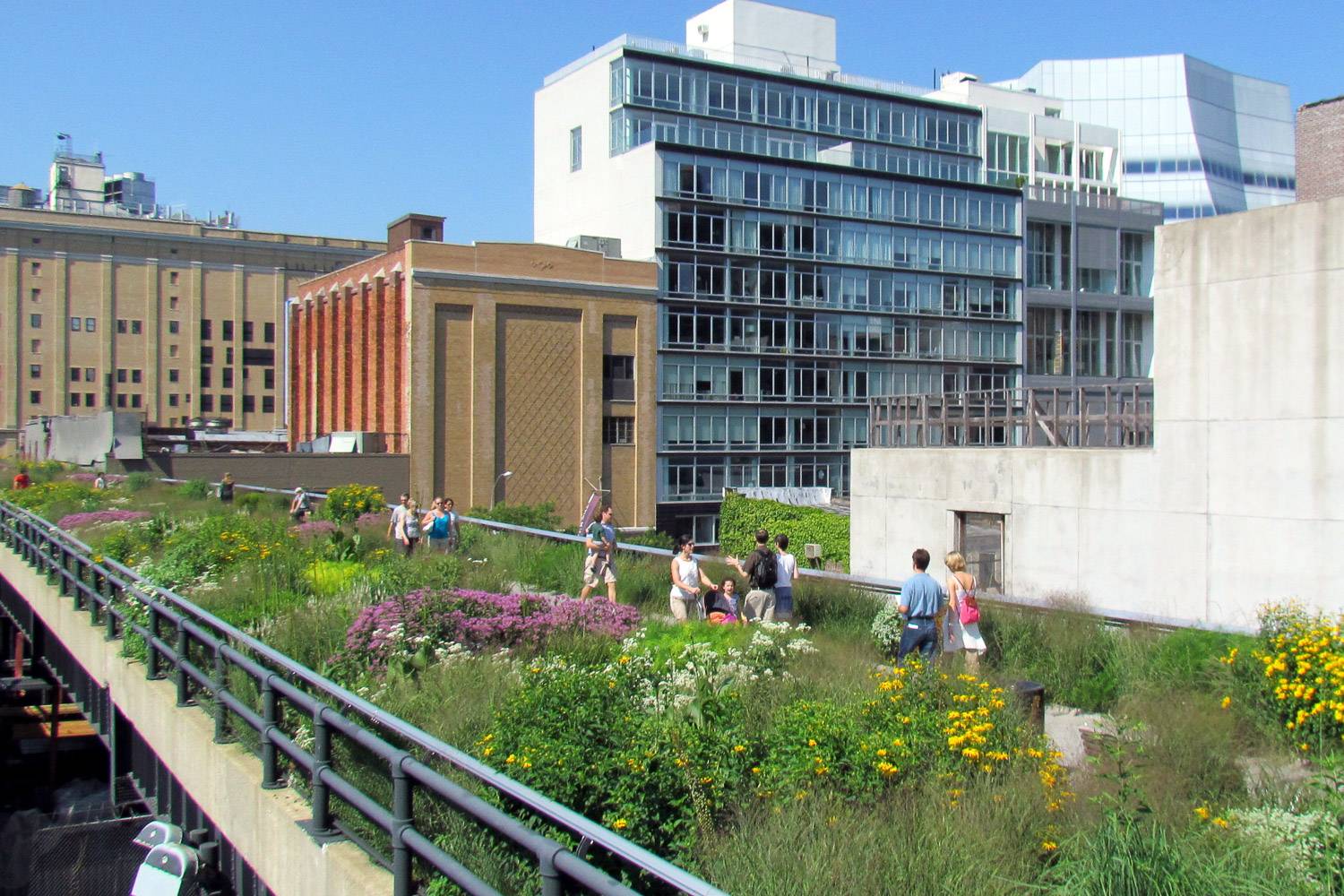 Foto dei binari ferroviari soprelevati piantumati con piante e fiori che costituiscono l’Highline Park di Manhattan