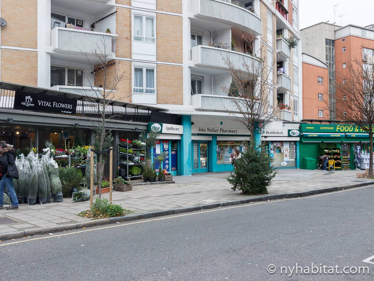 London 2 Bedroom Apartment Rental in Bloomsbury (LN1269)