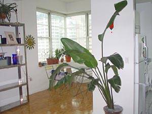 Living room - Photo 1 of 5