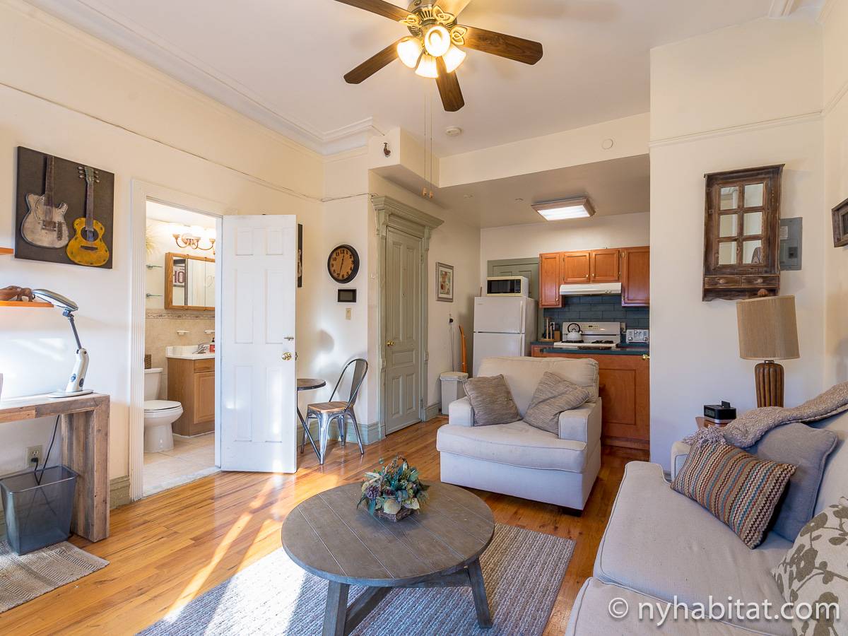 New York Apartment Studio Apartment Rental in Harlem (NY12768)