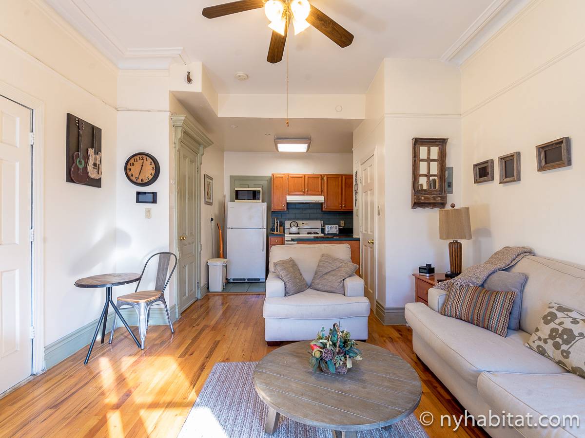 New York Apartment Studio Apartment Rental in Harlem (NY12768)