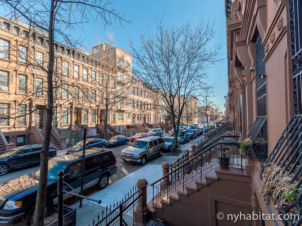 New York Apartment Studio Apartment Rental in Harlem (NY12768)
