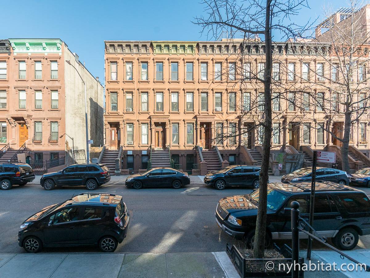 New York Apartment Studio Apartment Rental in Harlem (NY12768)