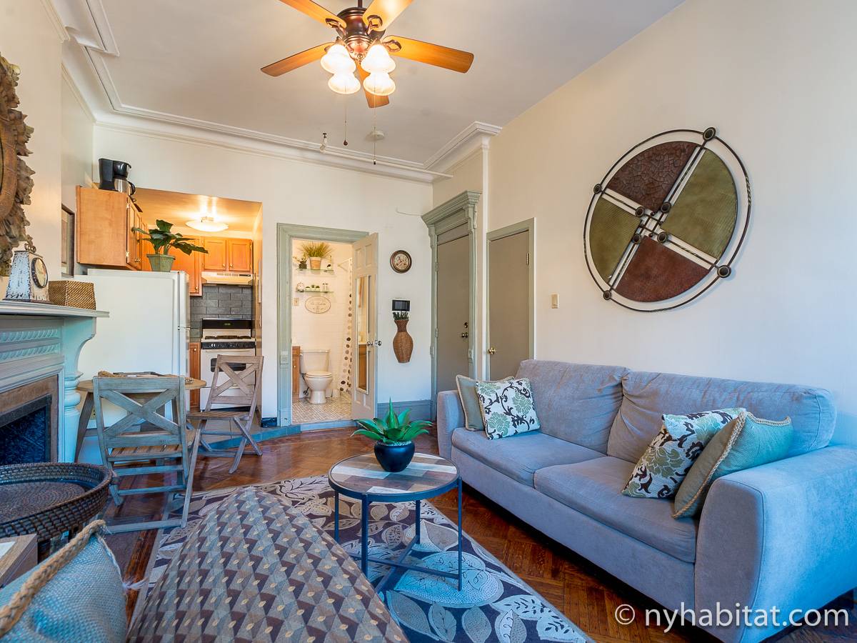 New York Apartment 1 Bedroom Apartment Rental in Harlem (NY12769)