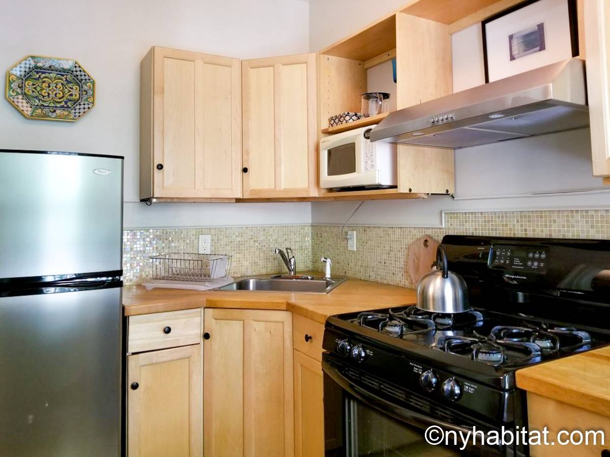 New York Apartment 1 Bedroom Apartment Rental in Brooklyn Heights (NY12920)