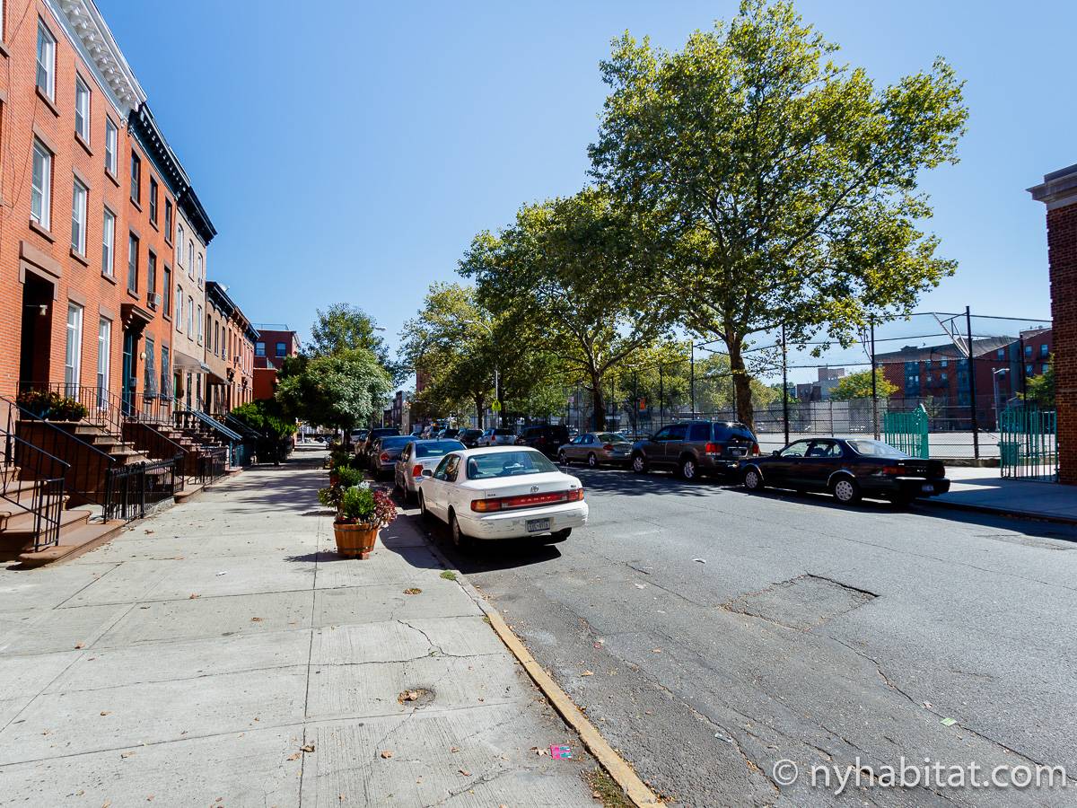 New York Apartment 2 Bedroom Apartment Rental in Clinton Hill (NY14151)