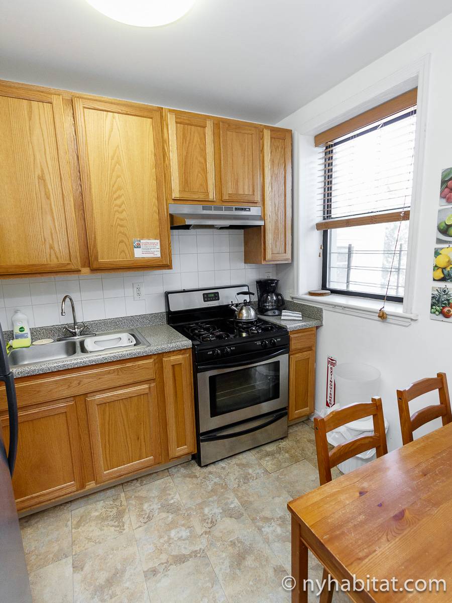 New York Apartment 2 Bedroom Apartment Rental in Clinton Hill (NY14151)