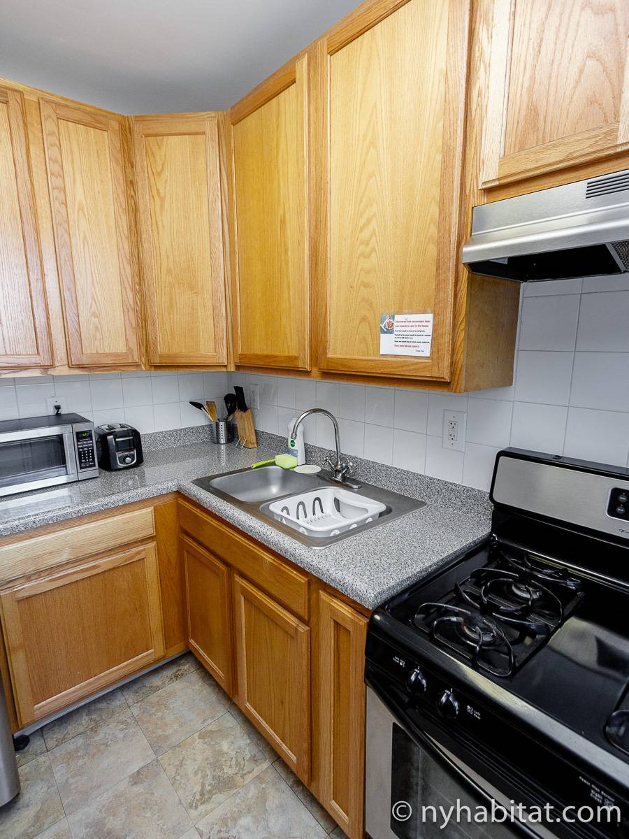 New York Apartment 2 Bedroom Apartment Rental in Clinton Hill (NY14151)
