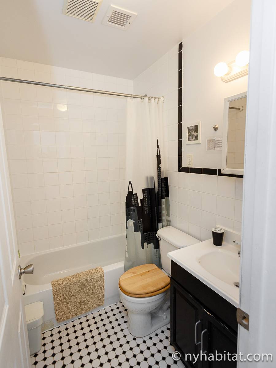 New York Apartment 2 Bedroom Apartment Rental in Clinton Hill (NY14151)