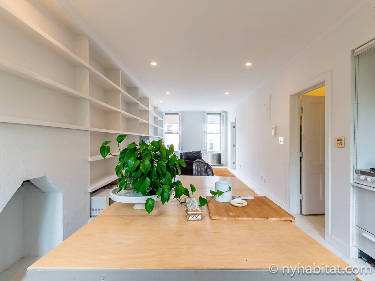 New York Apartment 1 Bedroom Apartment Rental in Williamsburg (NY14442)