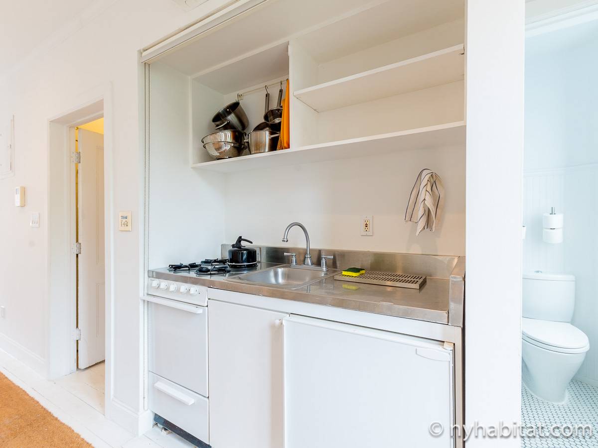 New York Apartment 1 Bedroom Apartment Rental in Williamsburg (NY14442)