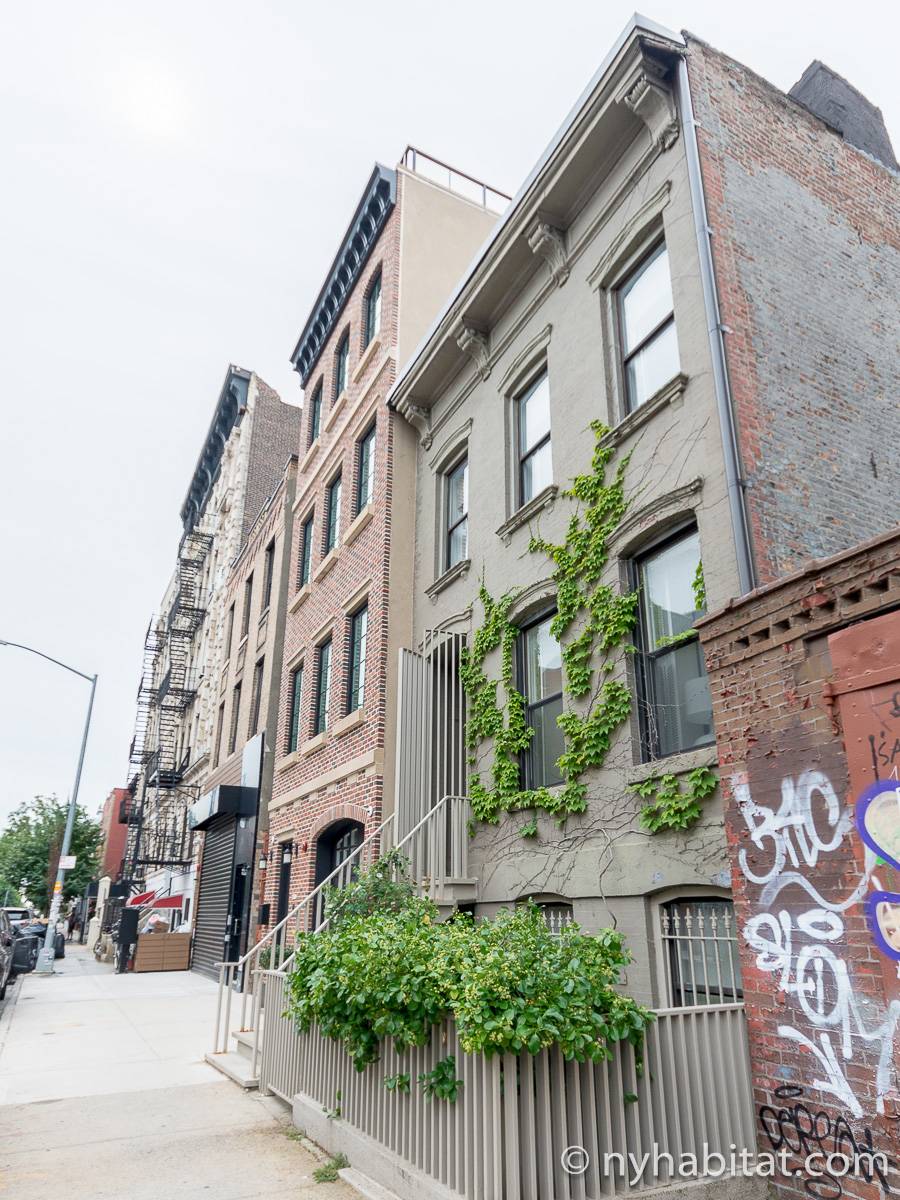 New York Apartment 1 Bedroom Apartment Rental in Williamsburg (NY14442)