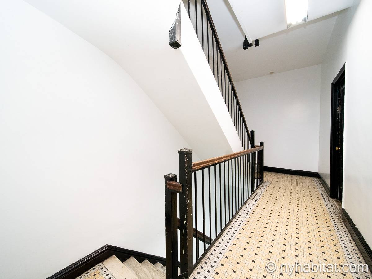 Altro - Photo 1 di 14
